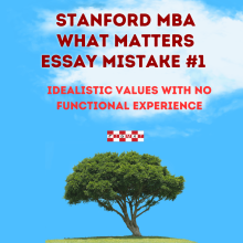 Stanford What Matters Essay Mistake #1 – No Functional Experience