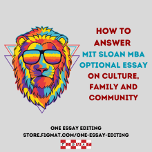 MIT Optional Essay Tips